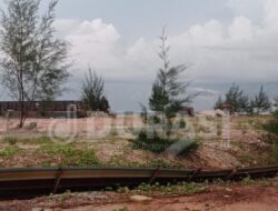 Dampak Reklamasi Pantai di Kawasan Golden Prawn Batam: Antara Kemajuan Ekonomi dan Kehancuran Ekosistem