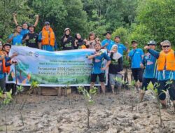 Jaga Kelestarian Lingkungan, PLN Batam Tanam 1.000 Pohon Mangrove di Pantai Nongsa
