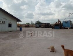 Usai Disegel Polisi, Pabrik Peleburan Aluminium di Tanjung Uncang Batam Kembali Beroperasi