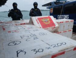Lagi, Bea Cukai Gagalkan Penyelundupan 275.000 Benih Lobster Tujuan Malaysia