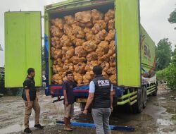 Tindak Lanjuti Laporan Masyarakat, Polisi Sidak Gudang di Sungai Saren
