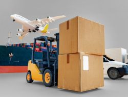 Logistik Express: Solusi Ekspedisi Terpercaya untuk Pengiriman Aman di Ambon