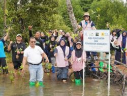 PLN Batam Tanam 1.000 Pohon Mangrove di Nongsa