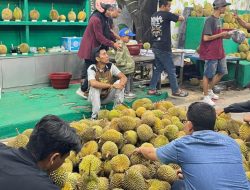 Pekanbaru Banjir Durian, Harga Mulai Rp 10 Ribu Per Buah