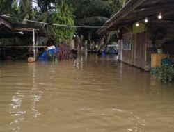 Pemdes Buluh Cina Lakukan Pengecekan Debit Air Sungai Kampar dan Sosialisasi Banjir