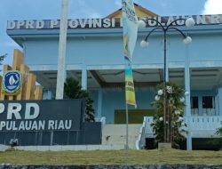Komisi II DPRD Kepri Sarankan Jabatan Direksi BUMD Diisi Kalangan Profesional