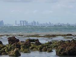 Menikmati Pemandangan Singapura dari Pantai Tanjung Pinggir Batam