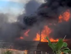Warga Panik, Asap Tebal Membumbung dari Kebakaran Lahan di Batu Aji
