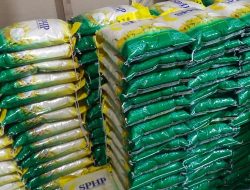 Stok Beras Terjaga, Harga Tetap Stabil Sepanjang Ramadan di Karimun