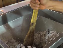 Harga Santan di Batam Melonjak, Pelaku Usaha Kuliner Terpukul