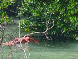 Mayat Tanpa Identitas Ditemukan Mengapung di Perairan Pulau Mudu Karimun