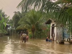 Lima Daerah di Riau Terendam Banjir, Kampar Alami Kondisi Terparah