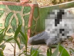 Identitas Pria yang Ditemukan Tewas di Taman Hijau Karimun Terungkap