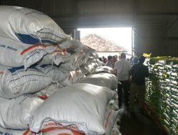 Stok Beras di Riau Aman hingga Lima Bulan ke Depan