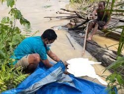Jasad Balita Adam Ditemukan Mengapung di Sungai Rokan Setelah 10 Hari Hilang