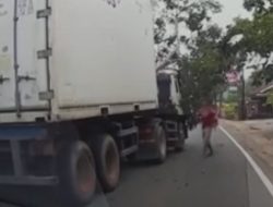 Pohon Tumbang di Jalan Gatot Subroto Tanjungpinang Sebabkan Kemacetan