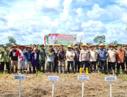 Dukung Swasembada Pangan, Dandim 0314/Inhil Hadiri Penanaman Padi Serentak di Tempuling