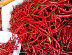 Bawang dan Cabai Merah Jadi Penyumbang Utama Kenaikan IPH di 25 Provinsi