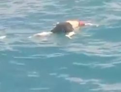 Jasad Pria Tanpa Identitas Ditemukan Mengapung di Perairan Batam