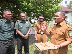 Wabub Bagus Tinjau Demplot Peternakan Ayam Petelur Koramil 01 Bengkalis