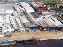 Industri Kelapa Terpuruk, PT Sambu Lakukan PHK Massal