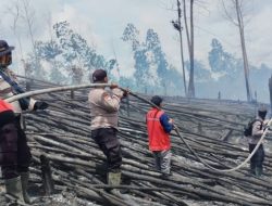 Lima Hektare Lahan TNTN Pelalawan Terbakar, Habitat Gajah dan Harimau Terancam