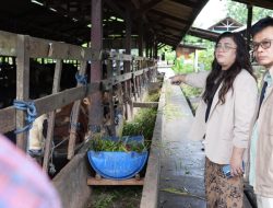 Deputi Bidang Pelayanan Umum BP Batam Tinjau RSBP Batam dan Kawasan Agribisnis