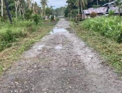 Pemprov Sumut Alokasikan Rp5 Miliar untuk Pembangunan Jalan Alternatif di Nias Barat