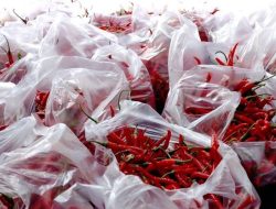 Cabai Merah dan Rawit Dongkrak Kenaikan Indeks Perkembangan Harga di 10 Provinsi