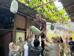 Kampung Bayam Madani Panen 138 Kilogram Hasil Pertanian dan Perikanan