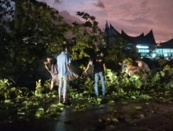 Merespons Dampak Angin, Pemkab Dharmasraya Koordinasikan Lintas Sektor Bersihkan Fasilitas Pelayanan Publik