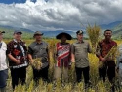 Bupati Kerinci Turun Langsung ke Pematang Sawah Bersama Petani
