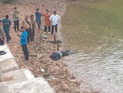 Identitas Pria Tewas di Jembatan I Barelang Terungkap, Ternyata Karyawan PT Epson