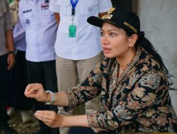 Tingkatkan PAD, Annisa Pastikan Kegiatan Industri Berjalan Sesuai Peraturan