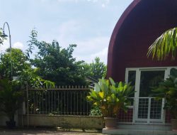 Ternak Bebek Tanpa Izin di Desa Jetis Meresahkan Warga, Kepala Dusun: Kandang Harus Ditutup