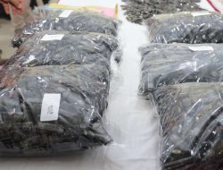 Oknum Pegawai KSOP Batam Ditangkap, Diduga Terlibat Penyelundupan Liquid Vape dari Malaysia