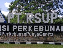 Plang PKH Bukan Sekadar Pajangan, Kejati Riau Tegaskan 237 Ha Lahan PT RSUP Masuk Kawasan Hutan