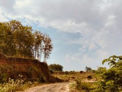 Reklamasi Eks Galian C di Desa Pegongsoran Pemalang Kembali Tuai Sorotan