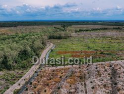 Monitoring LembAHtari dan Jurnalis Temukan 500 Hektar Hutan Lindung Alur Cina Dibabat