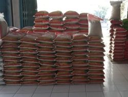 Harga Beras Naik Drastis, Warga Nias Barat Menjerit