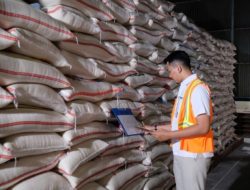 Ombudsman Temukan Beras Sisa Impor Setahun Menumpuk di Gudang Bulog