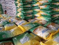 Target 1,3 Juta Ton, Bapanas Dorong Bulog Genjot Penyaluran Beras SPHP