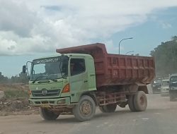 Respons Keluhan Masyarakat, Subdit Penindakan Ditpam BP Batam Cek Pematangan Lahan di Sei Binti