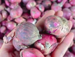 Bawang Merah hingga Emas Perhiasan Jadi Penyumbang Inflasi Riau