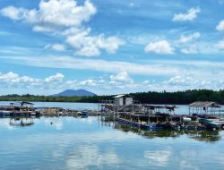 Kampung Madong Jadi Lokasi Baru Proyek Ketahanan Pangan Maritim di Kepri