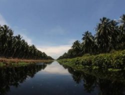 Pulau Burung dan Rupat Disiapkan Jadi Kawasan Transmigrasi di Riau