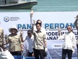 Wapres Gibran Hadiri Panen Perdana Lobster di Batam