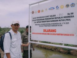 Satgas PKH Berhasil Eksekusi Ratusan Hektare Lahan Sawit di Alur China Kuala Genting, Begini Kata LembAHtari