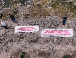 Menelisik Jejak Kejahatan Perusak Hutan Bakau di Pesisir Aceh Tamiang