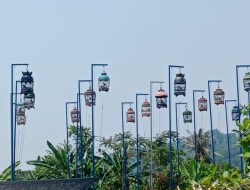 Kontes Burung Perkutut Meriahkan HUT Desa dan HUT Transad ke-59 di Hanura